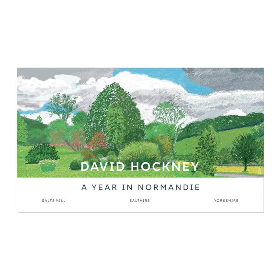 데이비드 호크니 Trees 58.6x99.6 (액자 포함)